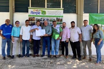 Foco Político - Henrique Queiroz | Iterpe | PP