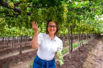 Foco Político - ALEPE | Débora Almeida | Pernambuco