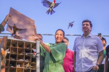 Foco Político - Joãozinho Tenório | Pernambuco