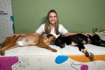 Foco Político - Clarissa Tércio | Jaboatão dos Guararapes | PP | Progressistas