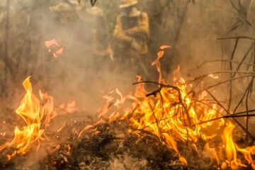 Foco Político - Governo Lula | Marina Silva