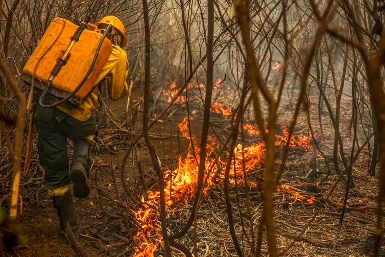 Focos de incêndio no Pantanal estão sob investigação da PF, diz Marina 1 Foco Político - Governo Lula | Marina Silva